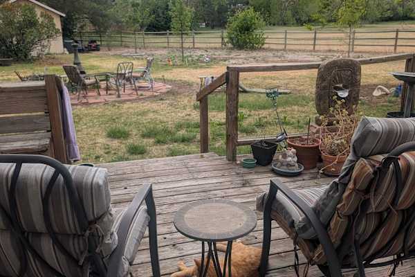 House sit in Fort Collins, CO, US