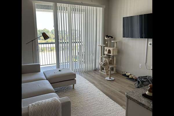 House sit in Spring, TX, US