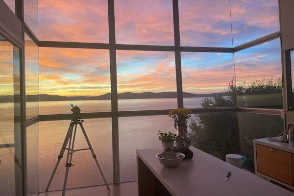 House sit in Hobart, TAS, Australia