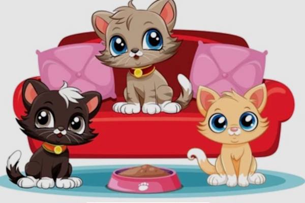 House sit in Fremantle City, WA, Australia