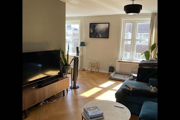 House sit in Amsterdam, Netherlands
