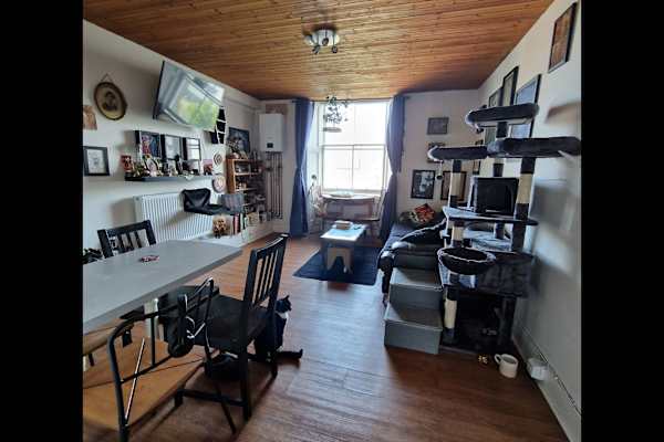 House sit in Edinburgh, United Kingdom