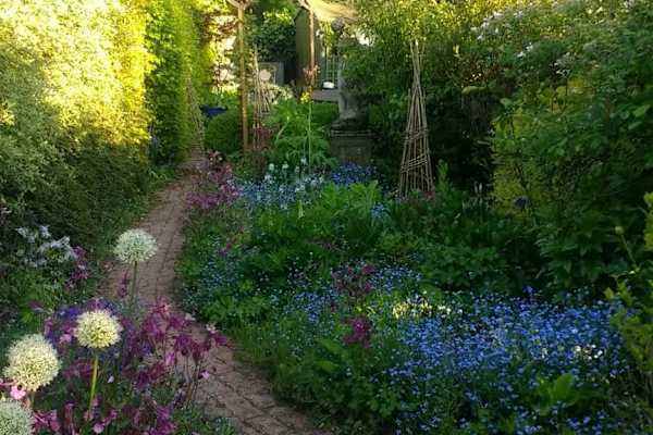 House sit in Ashby St Ledgers, United Kingdom