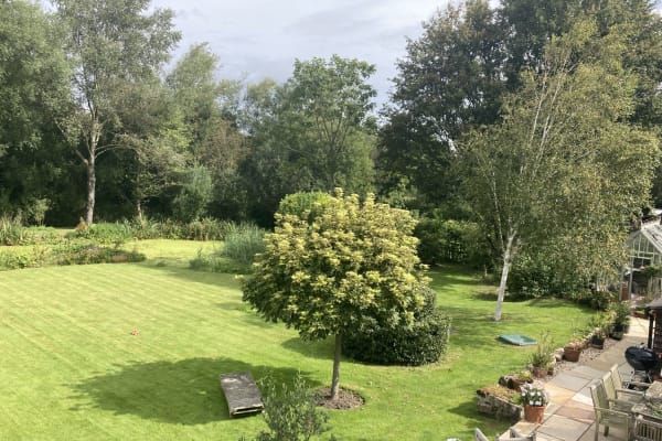 House sit in Salisbury, United Kingdom