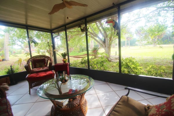 House sit in Venice, FL, US