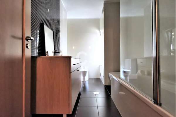 House sit in Coimbra, Portugal