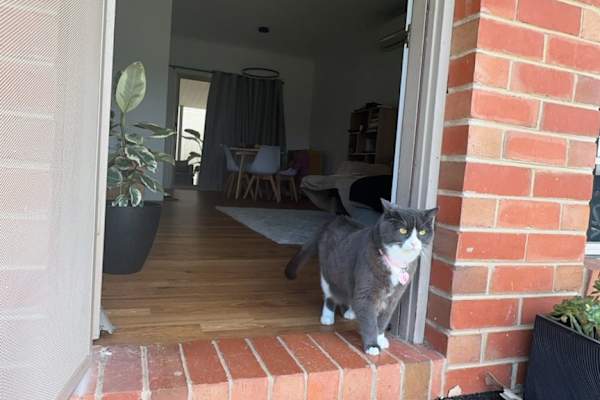 House sit in Echuca, VIC, Australia