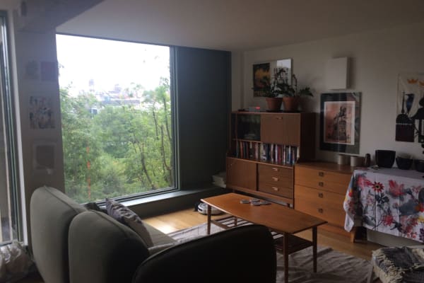 House sit in Sheffield, United Kingdom