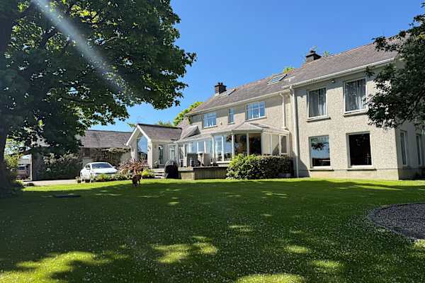 House sit in Saintfield, United Kingdom