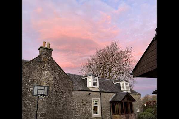 House sit in Crook of Devon, United Kingdom