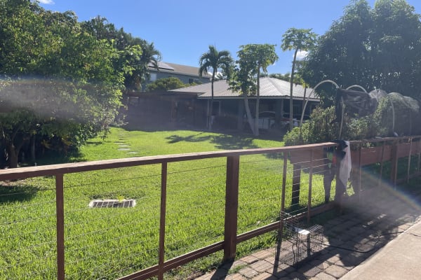 House sit in Kīhei, HI, US