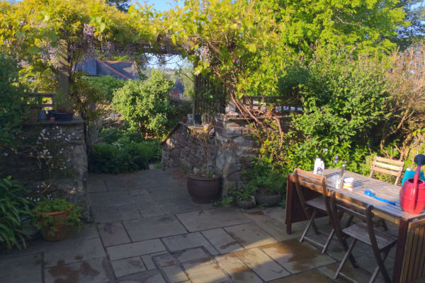 House sit in Truro, United Kingdom