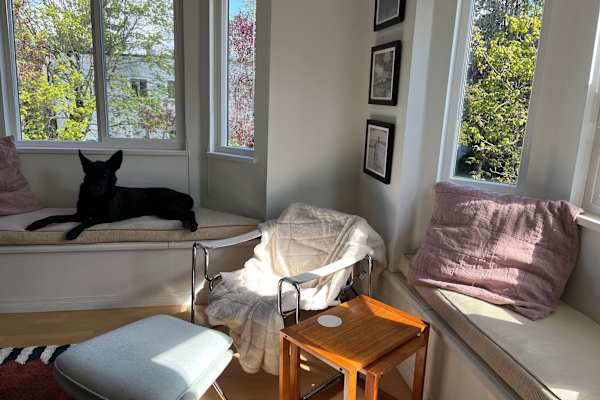 House sit in Vancouver, BC, Canada
