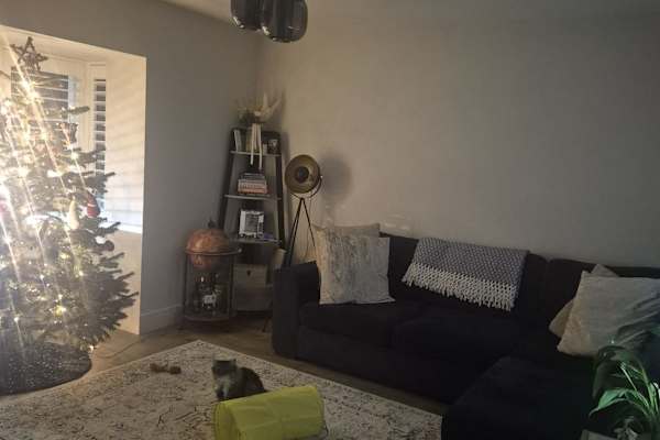 House sit in Lusk, Ireland