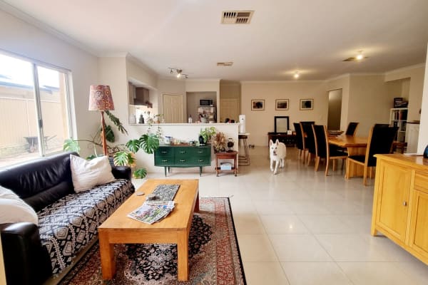 House sit in Perth, WA, Australia