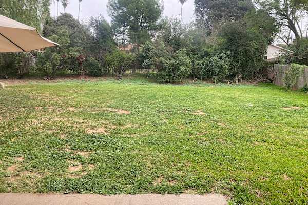 House sit in Escondido, CA, US