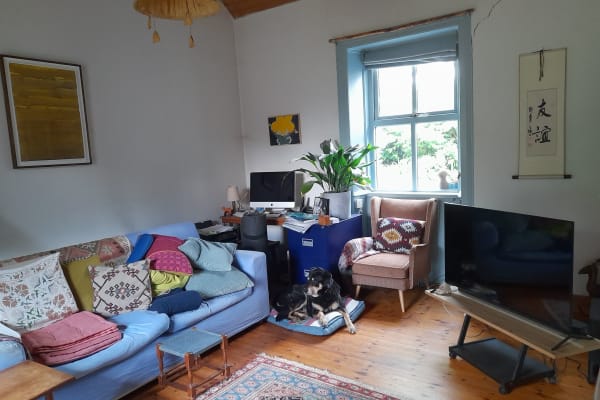 House sit in Lisdoonvarna, Ireland