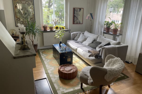 House sit in Stockholm, Sweden