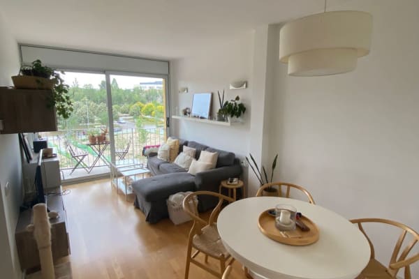 House sit in Barcelona, Spain