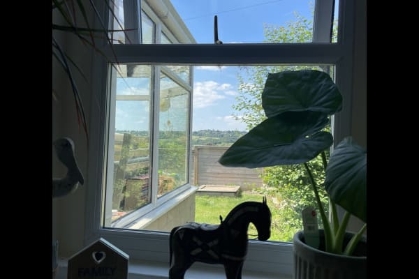 House sit in Corsham, United Kingdom