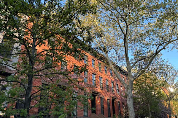 House sit in Brooklyn, NY, US