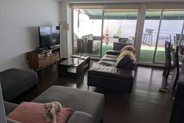 House sit in Mexico City, Mexico