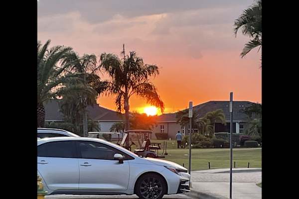 House sit in Port Charlotte, FL, US