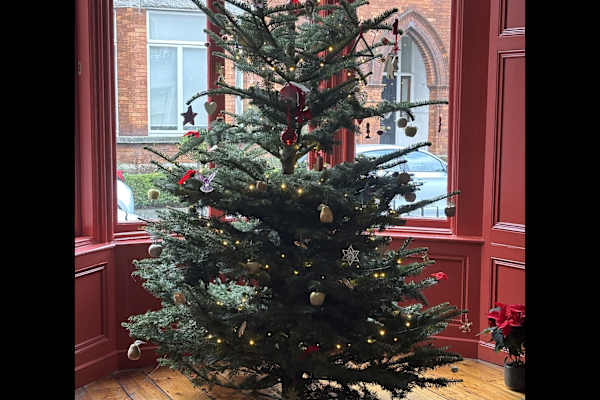 House sit in Rathgar, Ireland