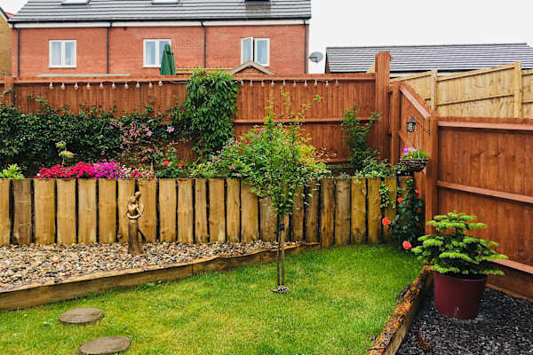 House sit in North Petherton, United Kingdom