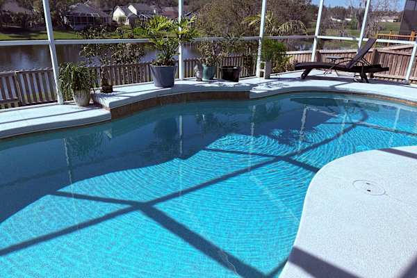 House sit in Tampa, FL, US