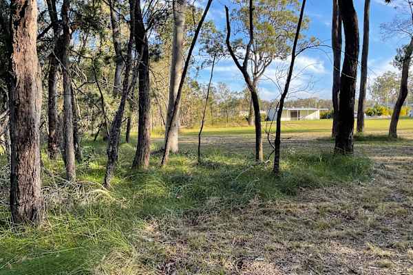 House sit in Yamba, NSW, Australia