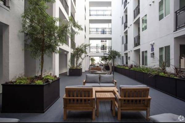 House sit in North Hollywood, CA, US