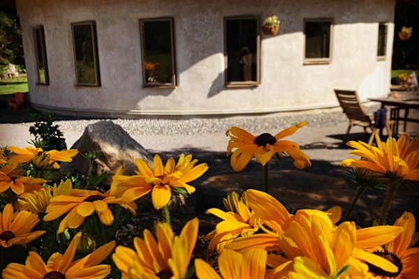 House sit in Haliburton, ON, Canada