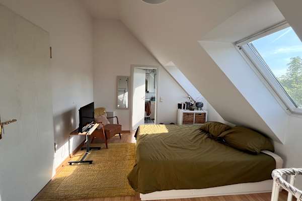 House sit in Berlin, Germany