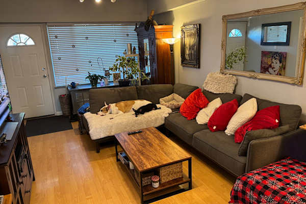House sit in Vancouver, BC, Canada