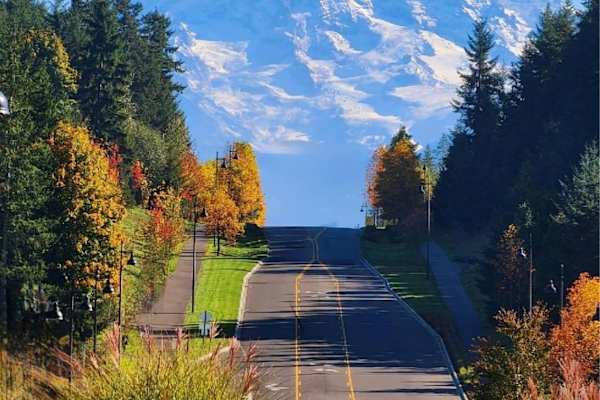 House sit in Bonney Lake, WA, US