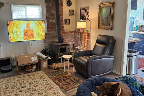 House sit in Fort Bragg, CA, US