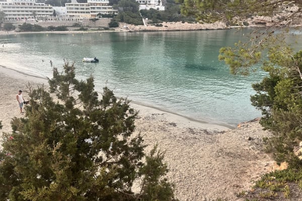 House sit in Ibiza, Spain