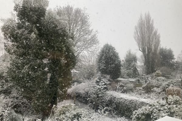 House sit in Nottingham, United Kingdom