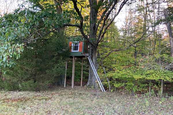House sit in Binghamton, NY, US