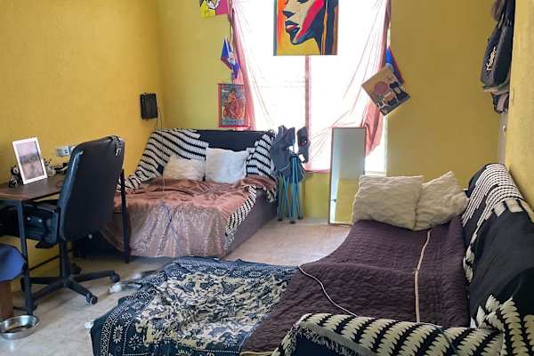 House sit in Mérida, Mexico