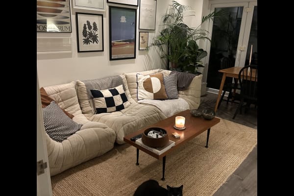 House sit in London, United Kingdom