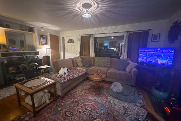 House sit in Eugene, OR, US