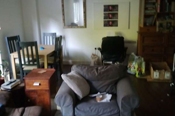 House sit in Maidstone, United Kingdom