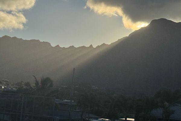 House sit in Kailua, HI, US