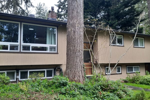 House sit in Bainbridge Island, WA, US