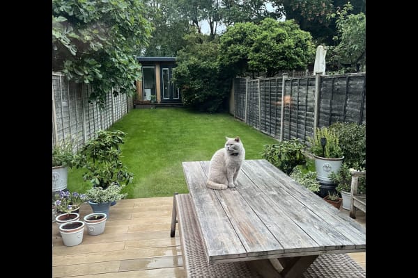 House sit in Wimbledon Park, United Kingdom