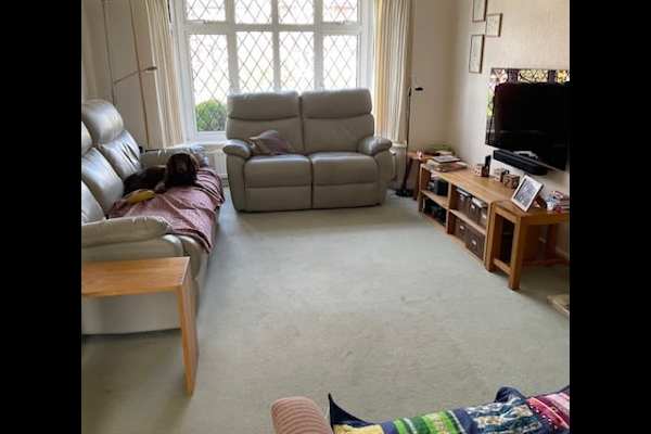 House sit in Tring, United Kingdom