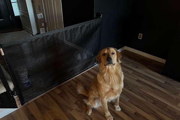 House sit in Ankeny, IA, US
