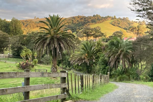 House sit in Clevedon, New Zealand